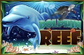 Dolphin Reef