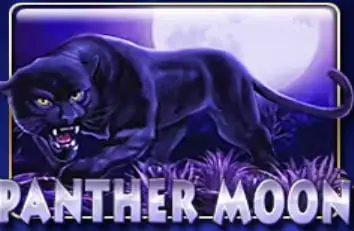 Panther Moon