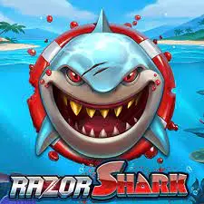 King of Shark